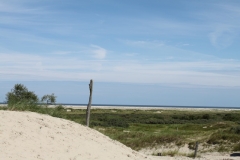 Enk-Nord_2016Borkum_Düne