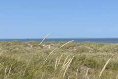 EE_20220719_Langeoog_Duenen