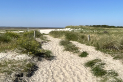 EE_20220719_Langeoog_Duenen2