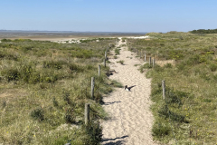 EE_20220719_Langeoog_Duenen3