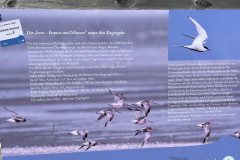 EE_20220720_Langeoog_Natur