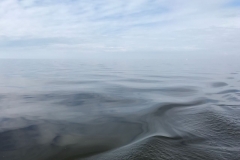 Saison_2018-02