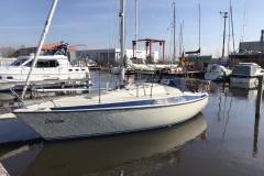 Saison_2018-07
