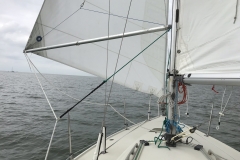 Saison_2018-19