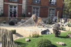 Tierpark (Boulogne sur meer)