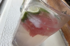 S2018_Gin