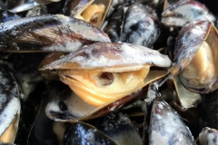 Muscheln auf dem Teller